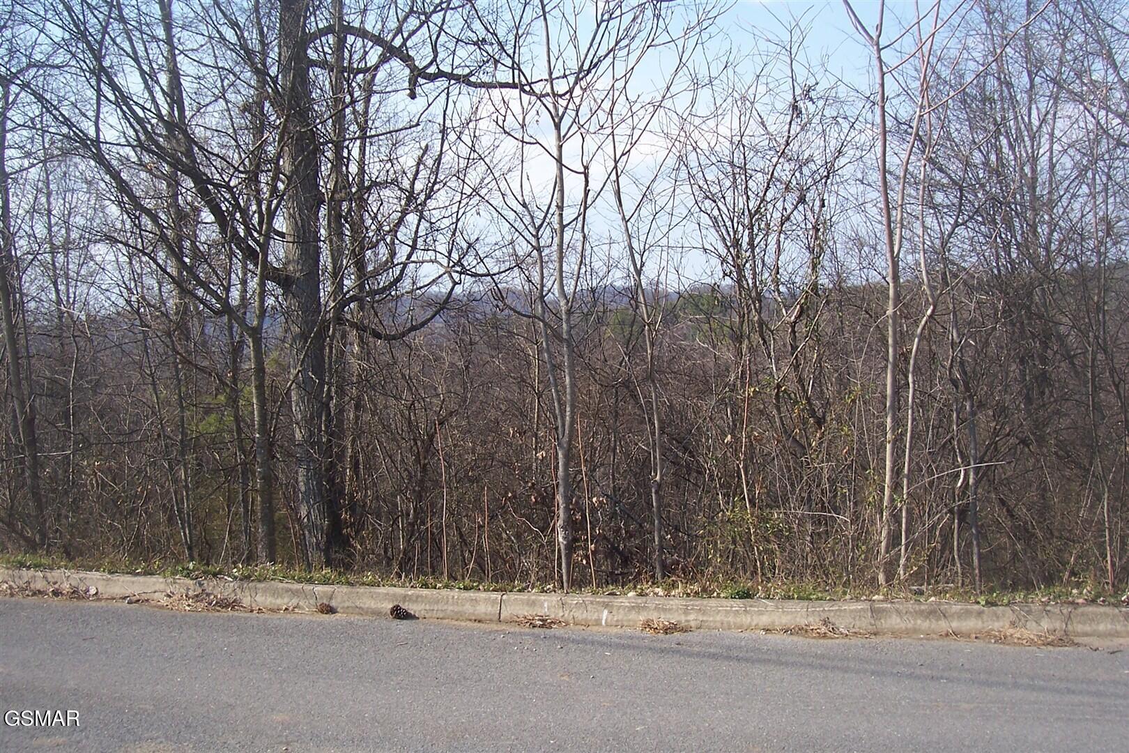 Lot 142 Low Valley Road Dandridge TN 37725