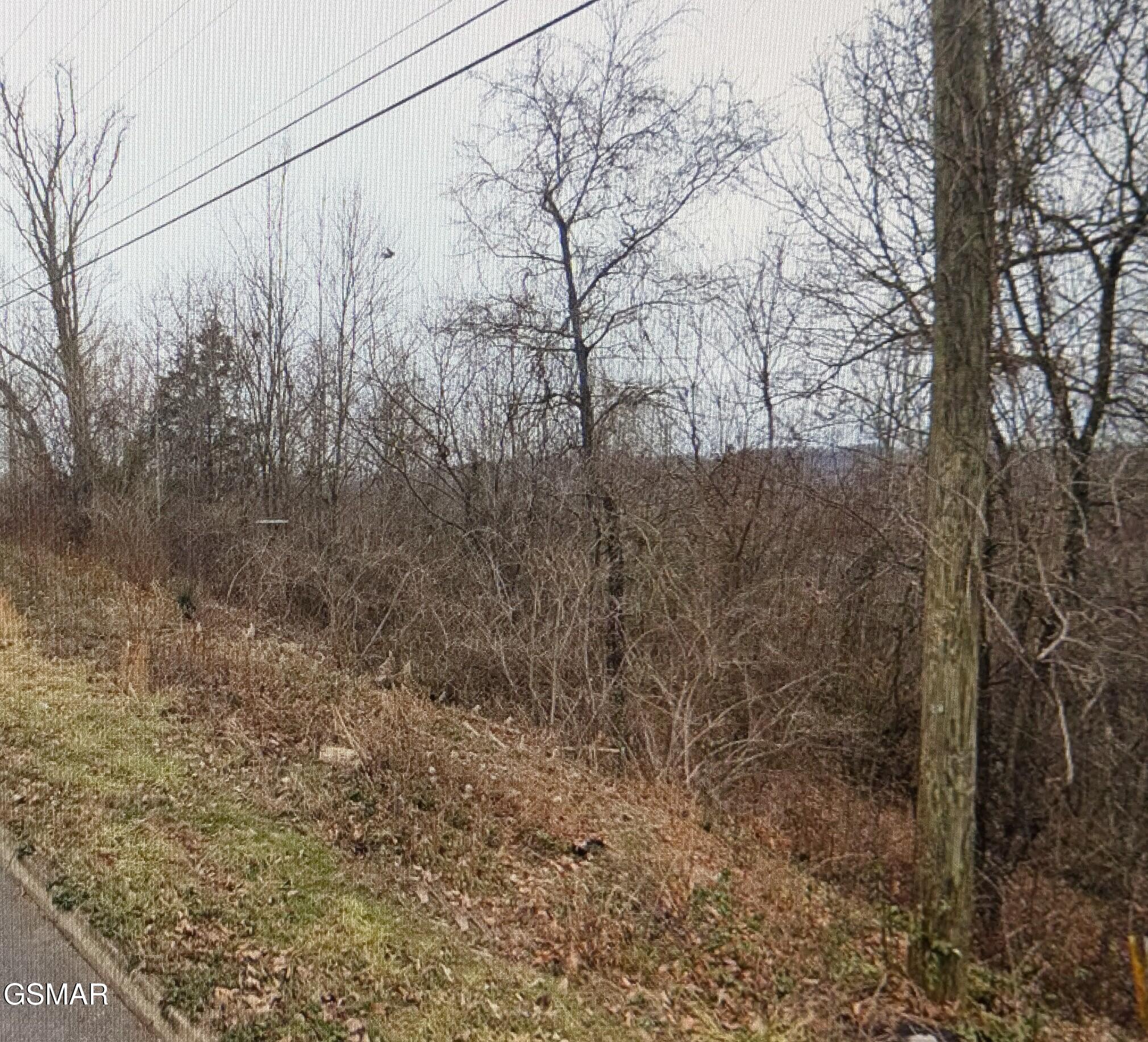 Lot 142 Low Valley Road Dandridge TN 37725
