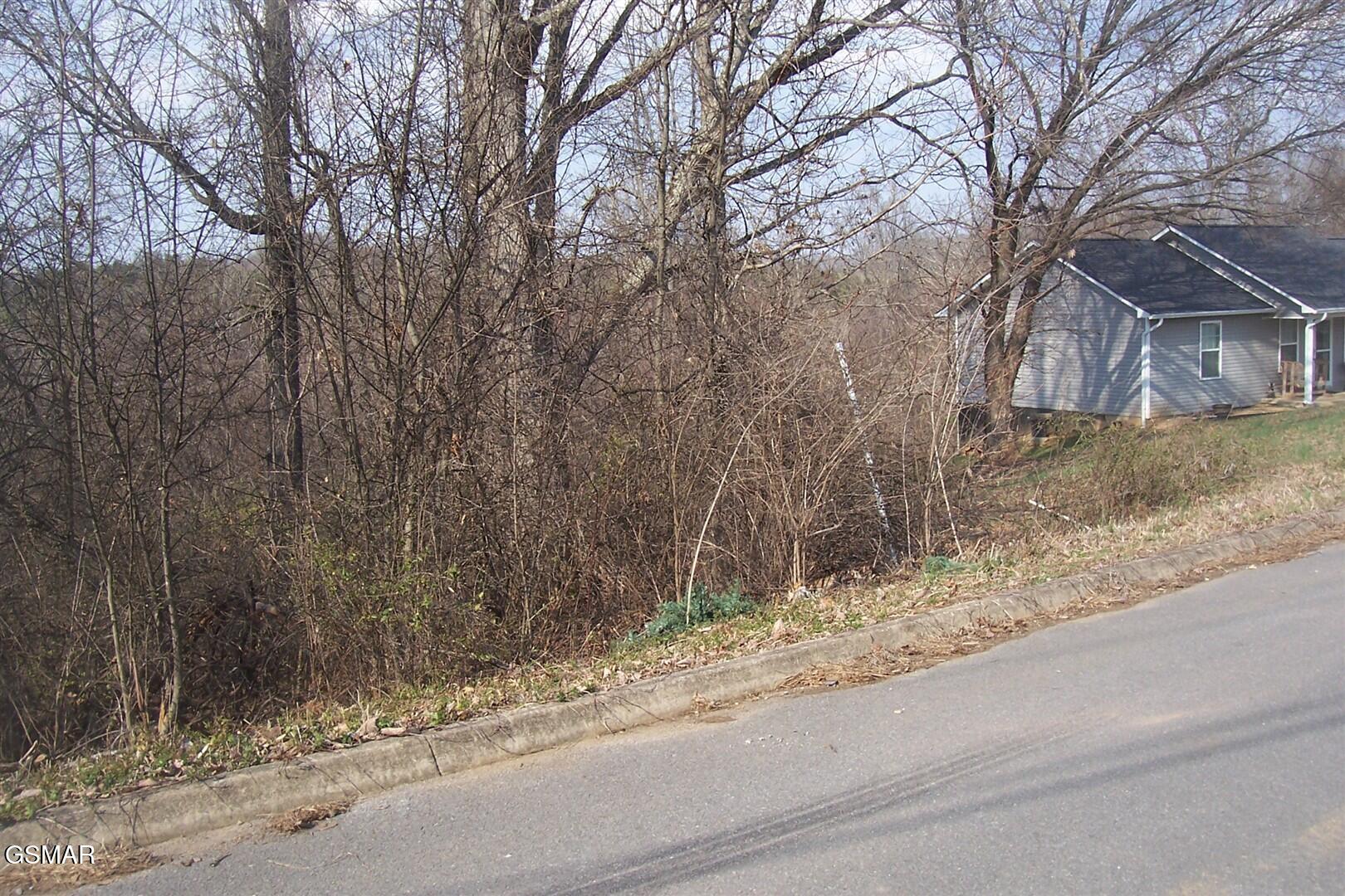 Lot 142 Low Valley Road Dandridge TN 37725