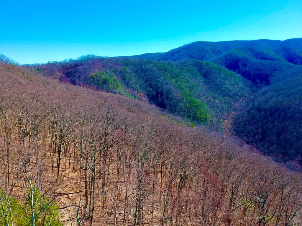 3-A Ravens Den Way Sevierville TN 37862