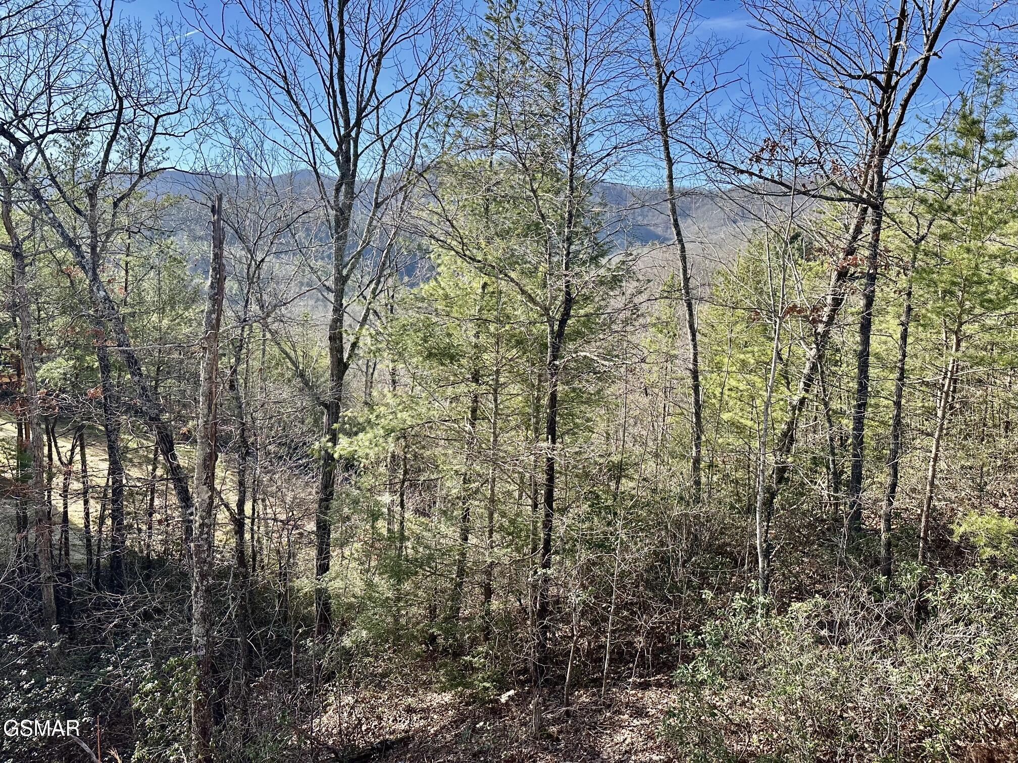 1306 Morning Dove Way Sevierville TN 37862