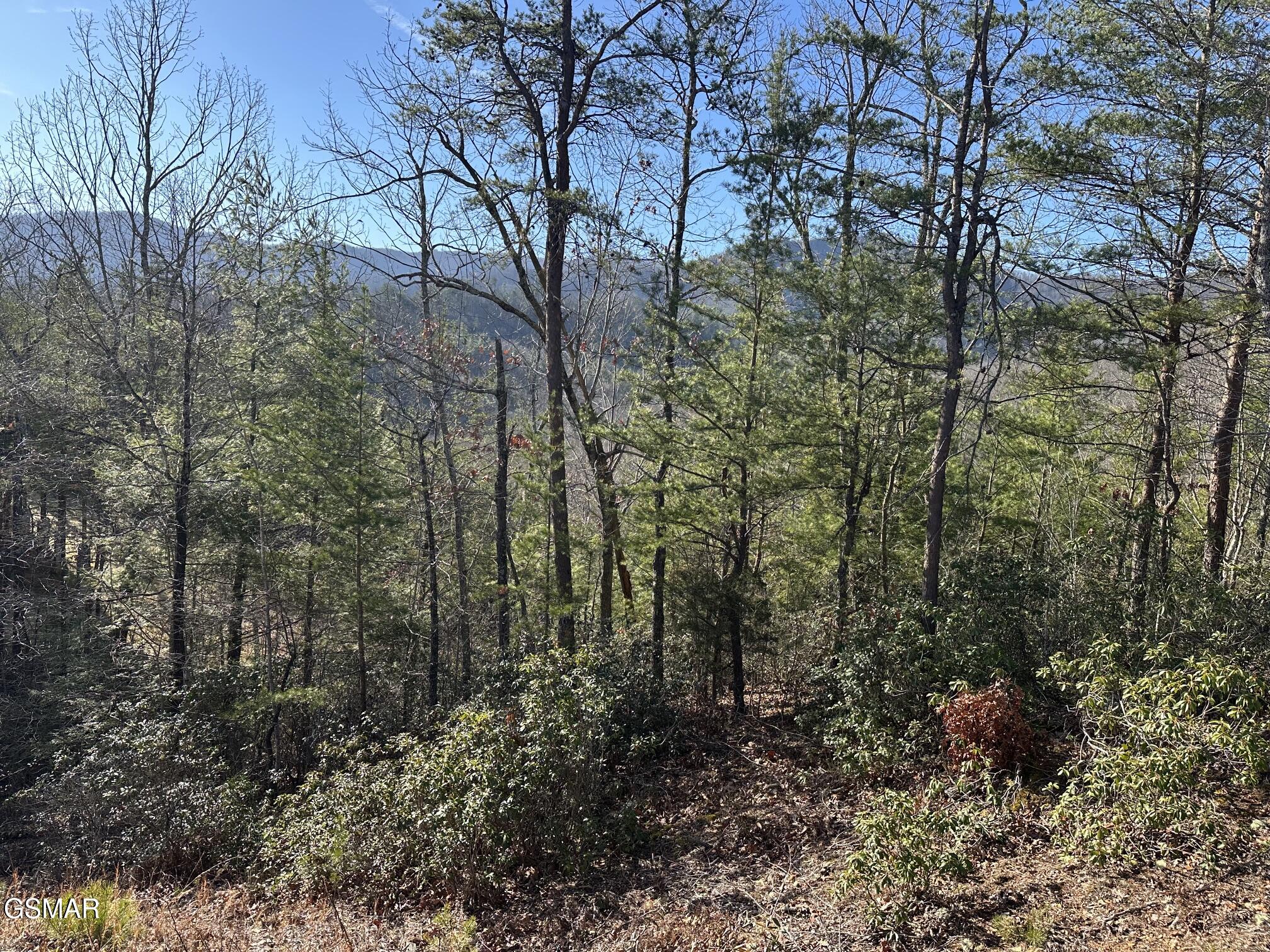 1306 Morning Dove Way Sevierville TN 37862