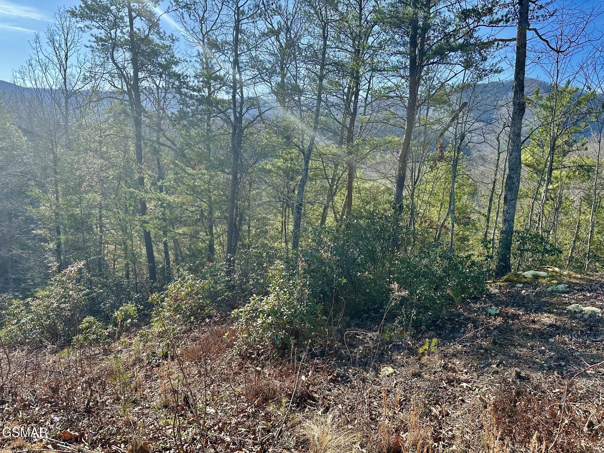 1306 Morning Dove Way Sevierville TN 37862