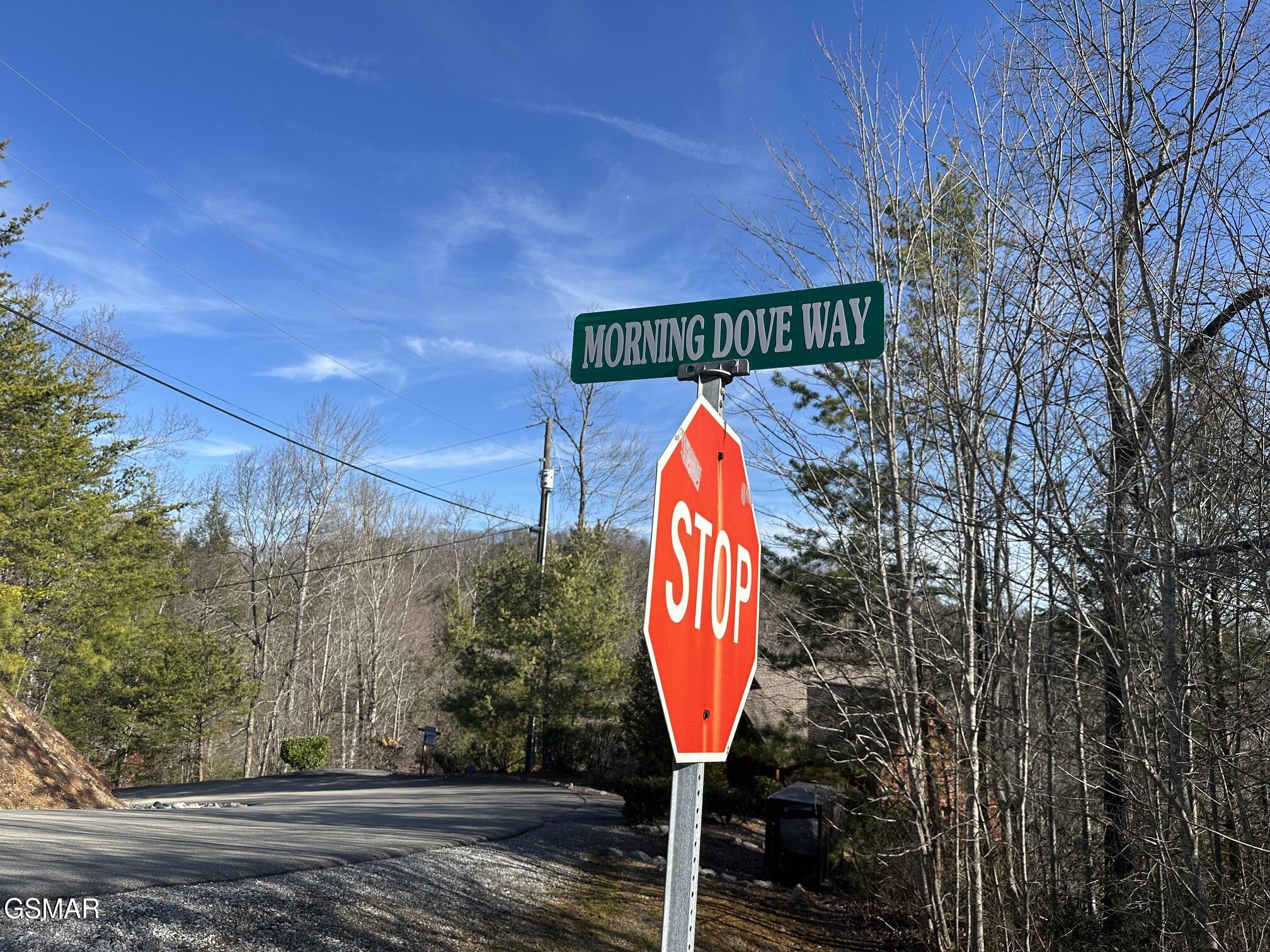 1306 Morning Dove Way Sevierville TN 37862