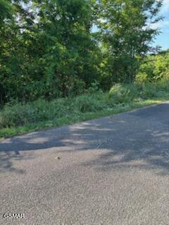 Lot 50 Mary Alice Way Sevierville TN 37876