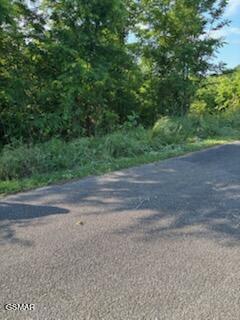 Lot 50 Mary Alice Way Sevierville TN 37876