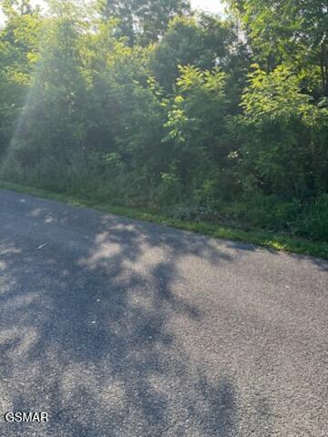 Lot 50 Mary Alice Way Sevierville TN 37876