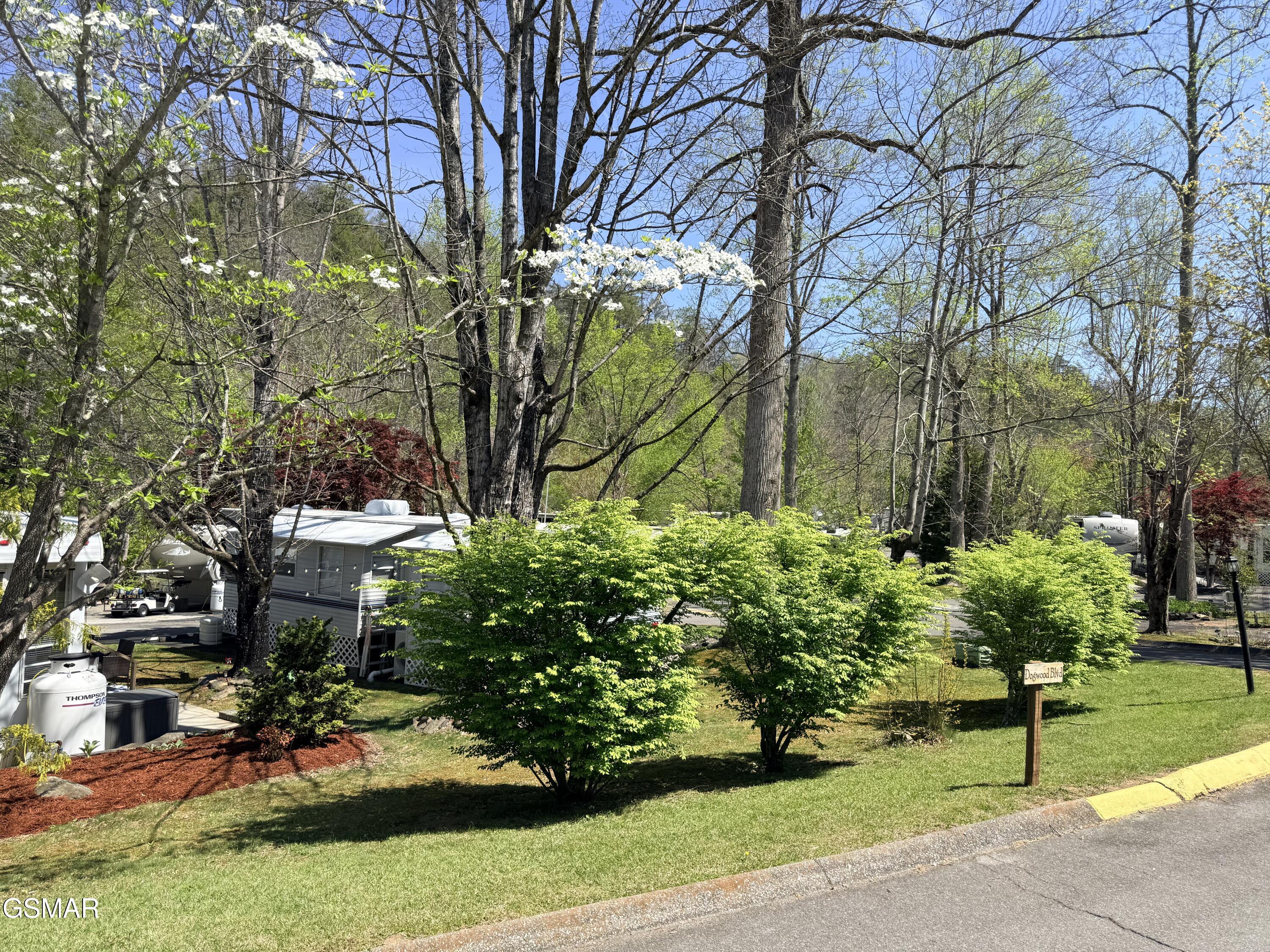 4229 E Parkway #137 Gatlinburg TN 37738