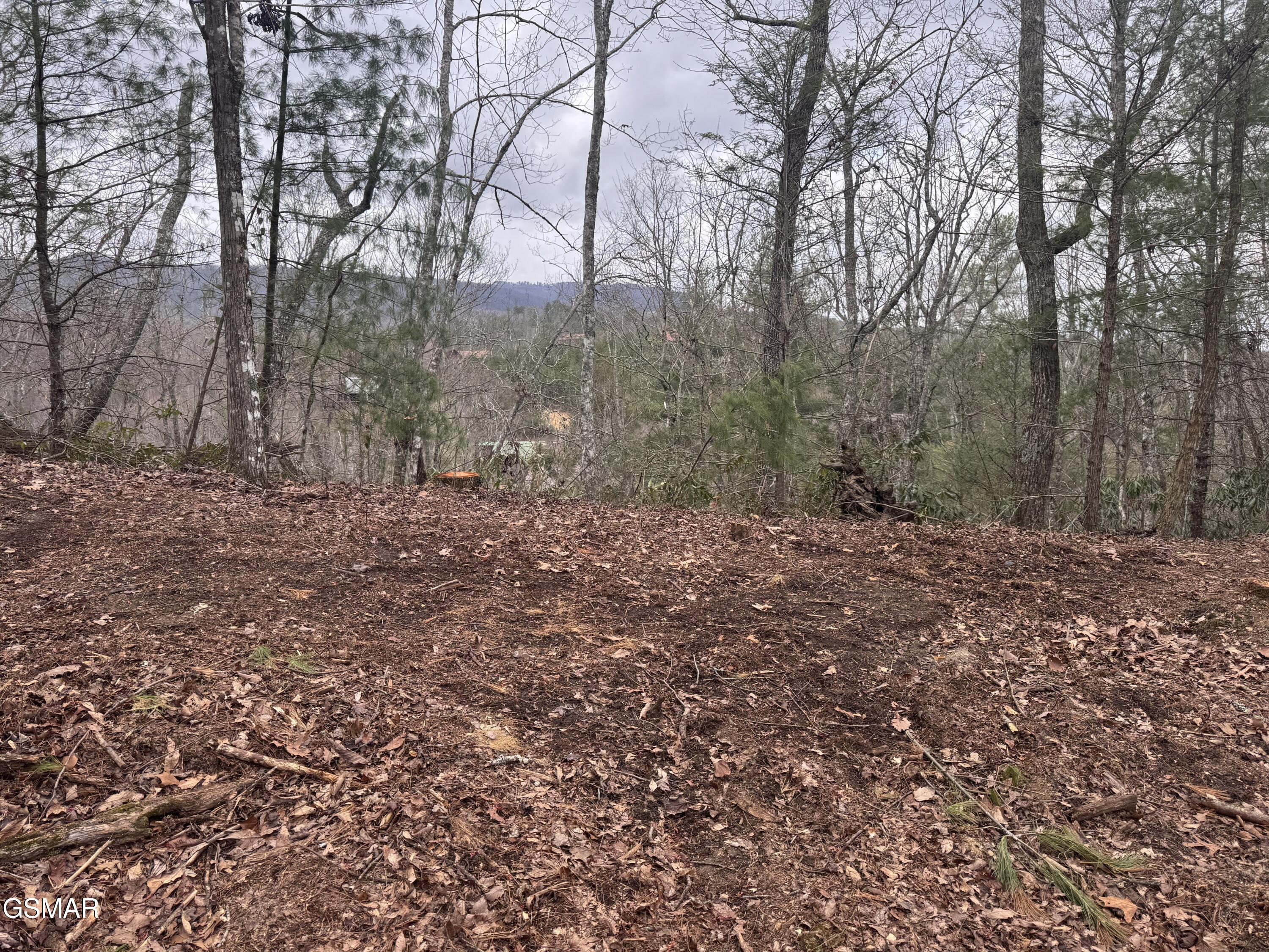 2821 Cedar Falls Way Sevierville TN 37862
