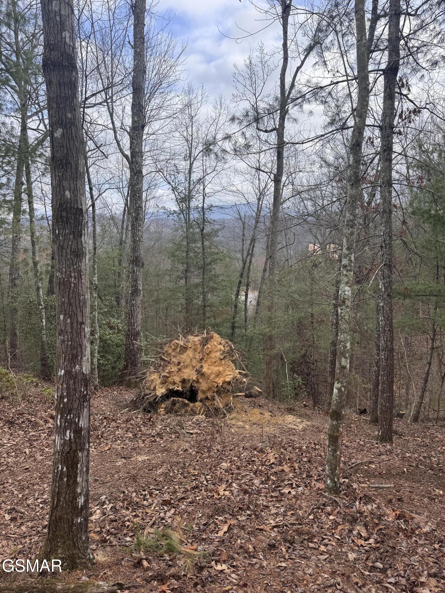 2821 Cedar Falls Way Sevierville TN 37862
