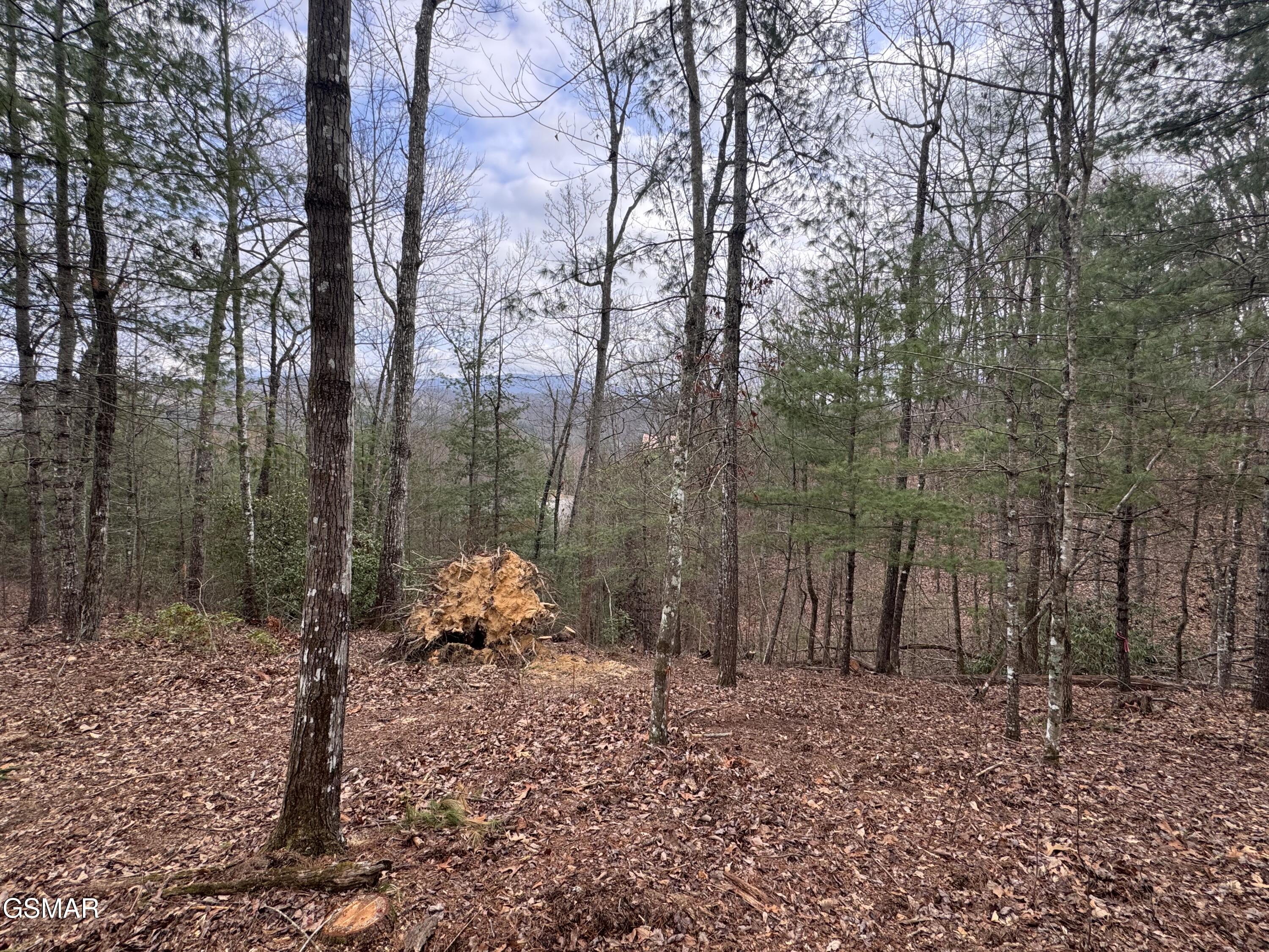 2821 Cedar Falls Way Sevierville TN 37862