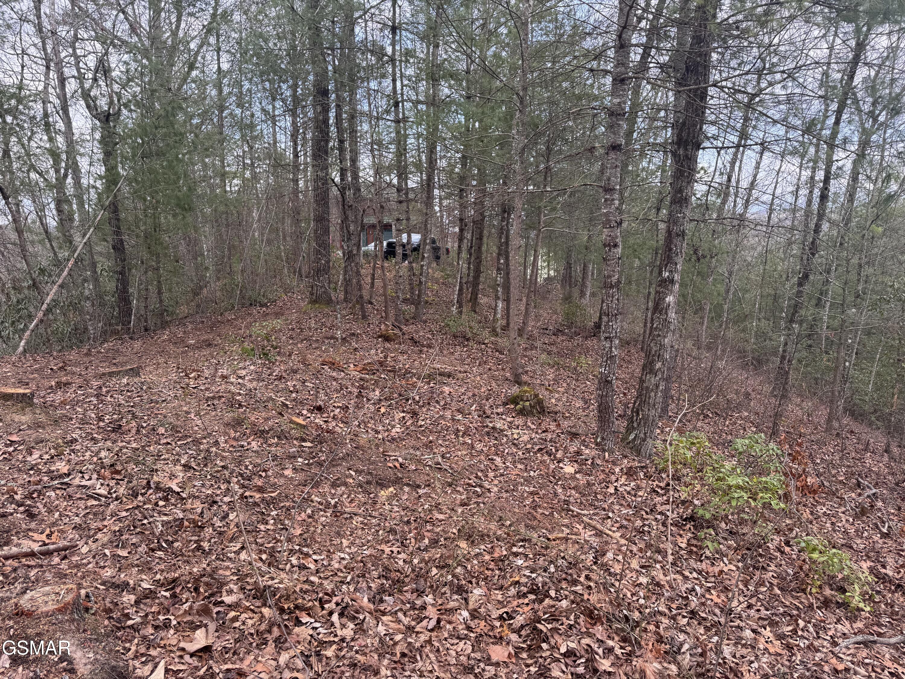 2821 Cedar Falls Way Sevierville TN 37862