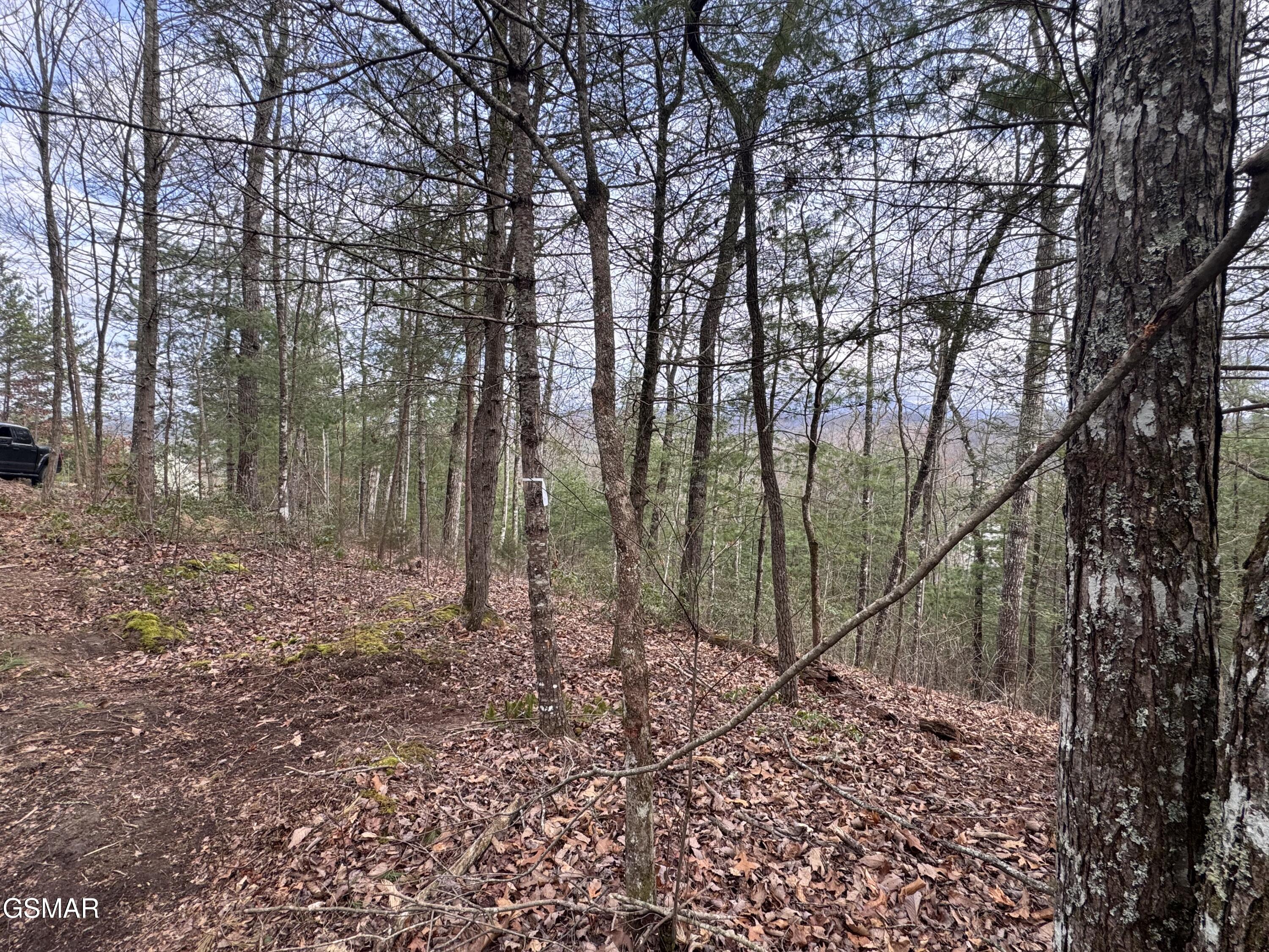 2821 Cedar Falls Way Sevierville TN 37862
