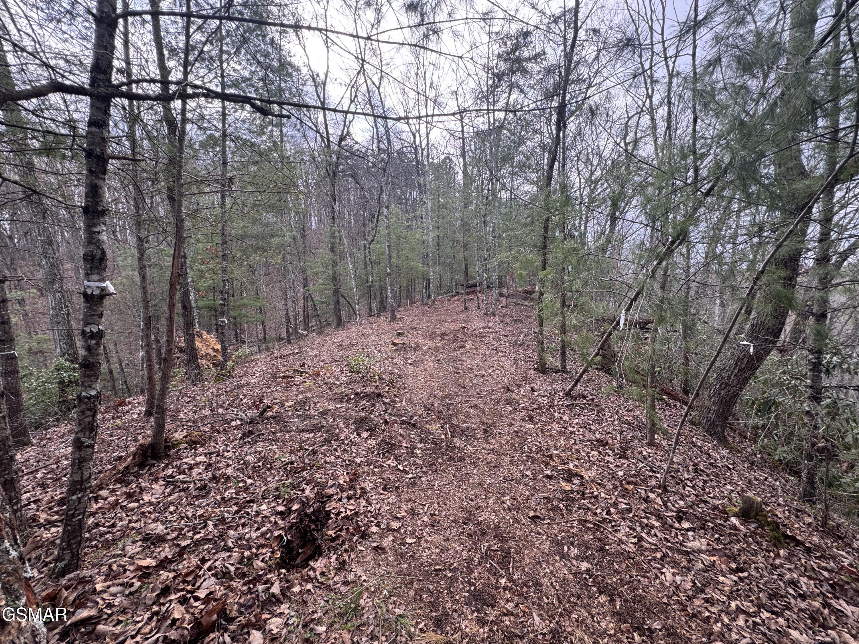 2821 Cedar Falls Way Sevierville TN 37862
