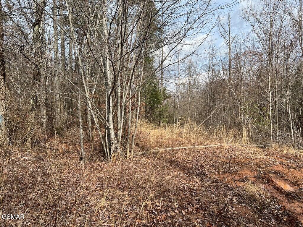 Lot 29 Blue Springs Way Newport TN 37821