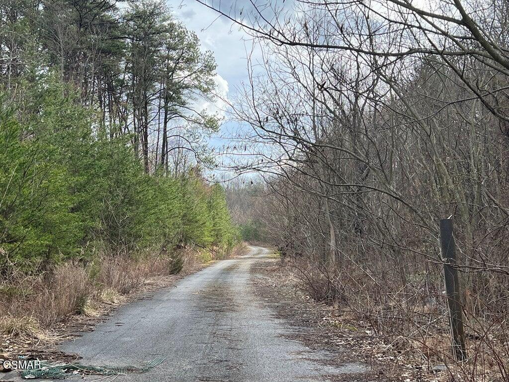Lot 29 Blue Springs Way Newport TN 37821