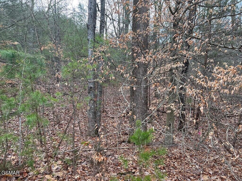 Lot 29 Blue Springs Way Newport TN 37821