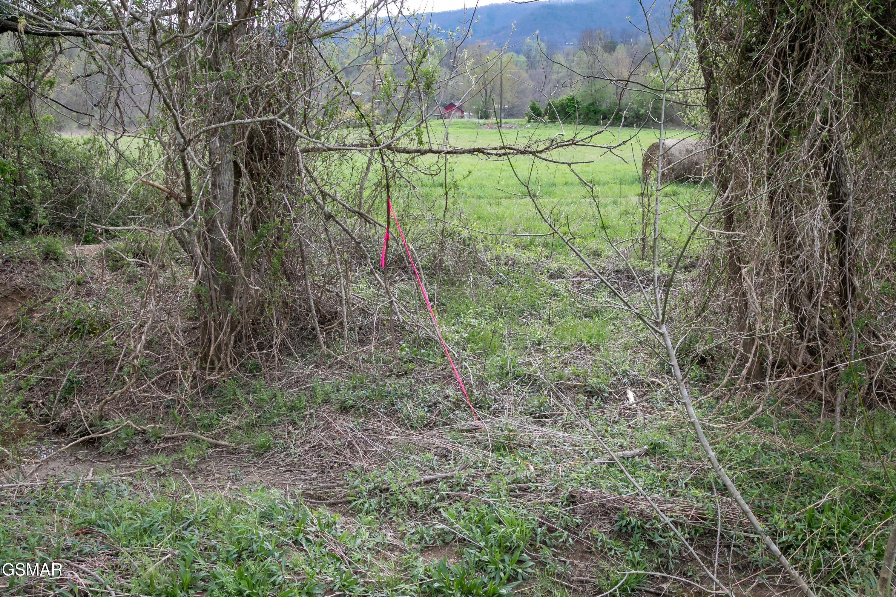 Lot B Tarwater Lane Sevierville TN 37862
