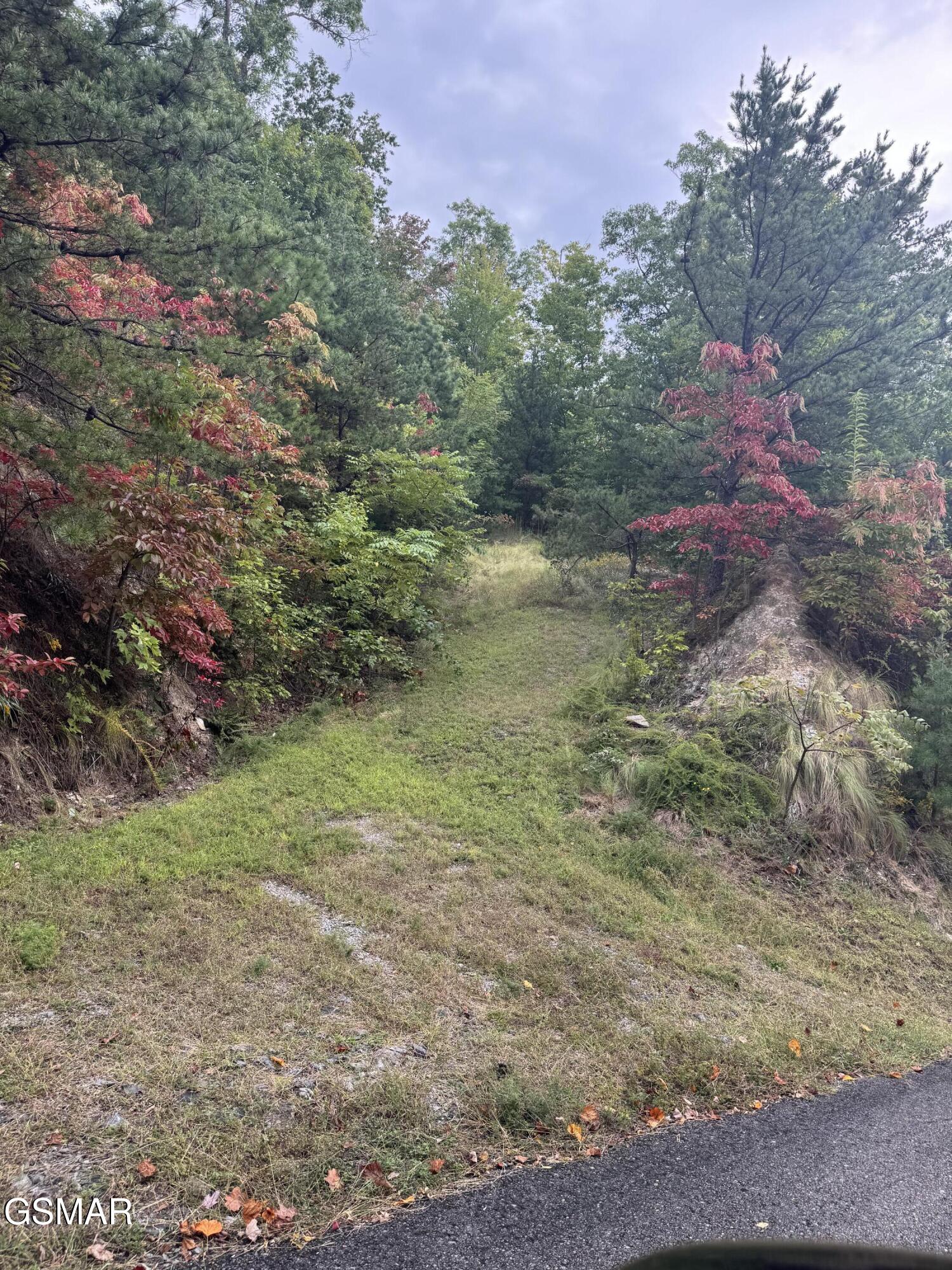 Lot 49 Enclave Park Way Sevierville TN 37862
