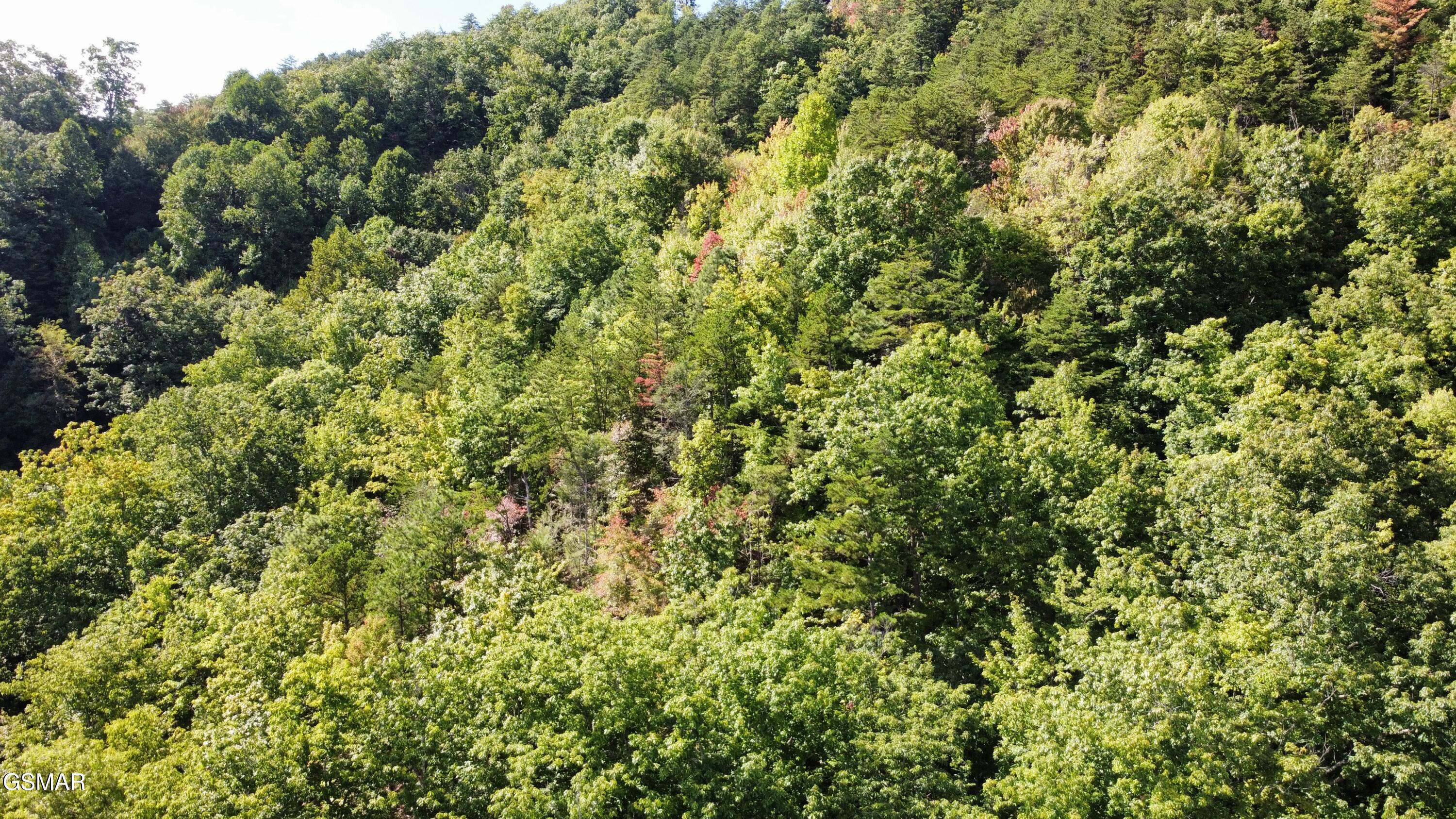 Lot 49 Enclave Park Way Sevierville TN 37862