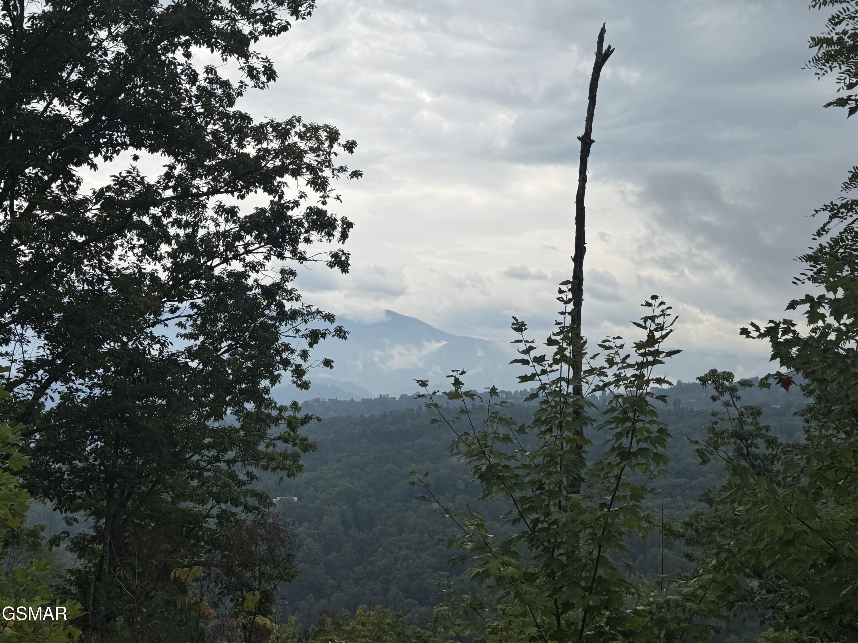 Lot 49 Enclave Park Way Sevierville TN 37862