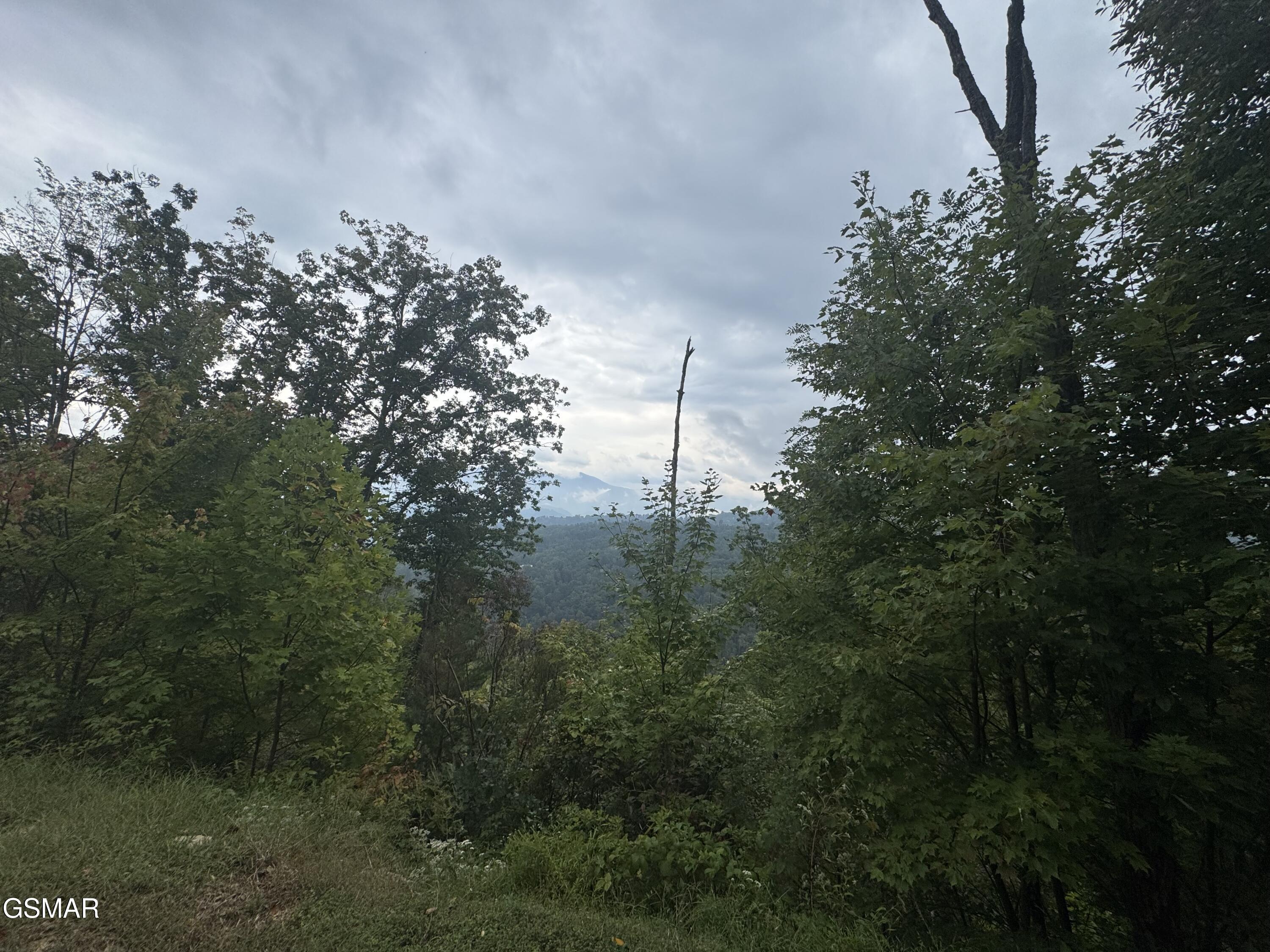 Lot 49 Enclave Park Way Sevierville TN 37862
