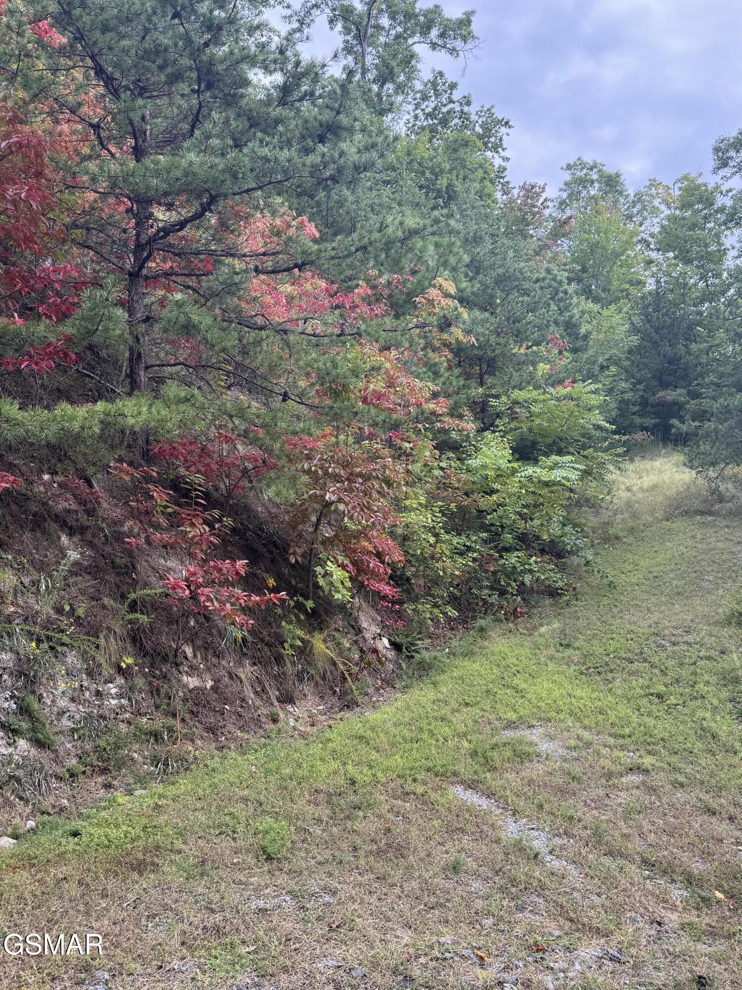 Lot 49 Enclave Park Way Sevierville TN 37862