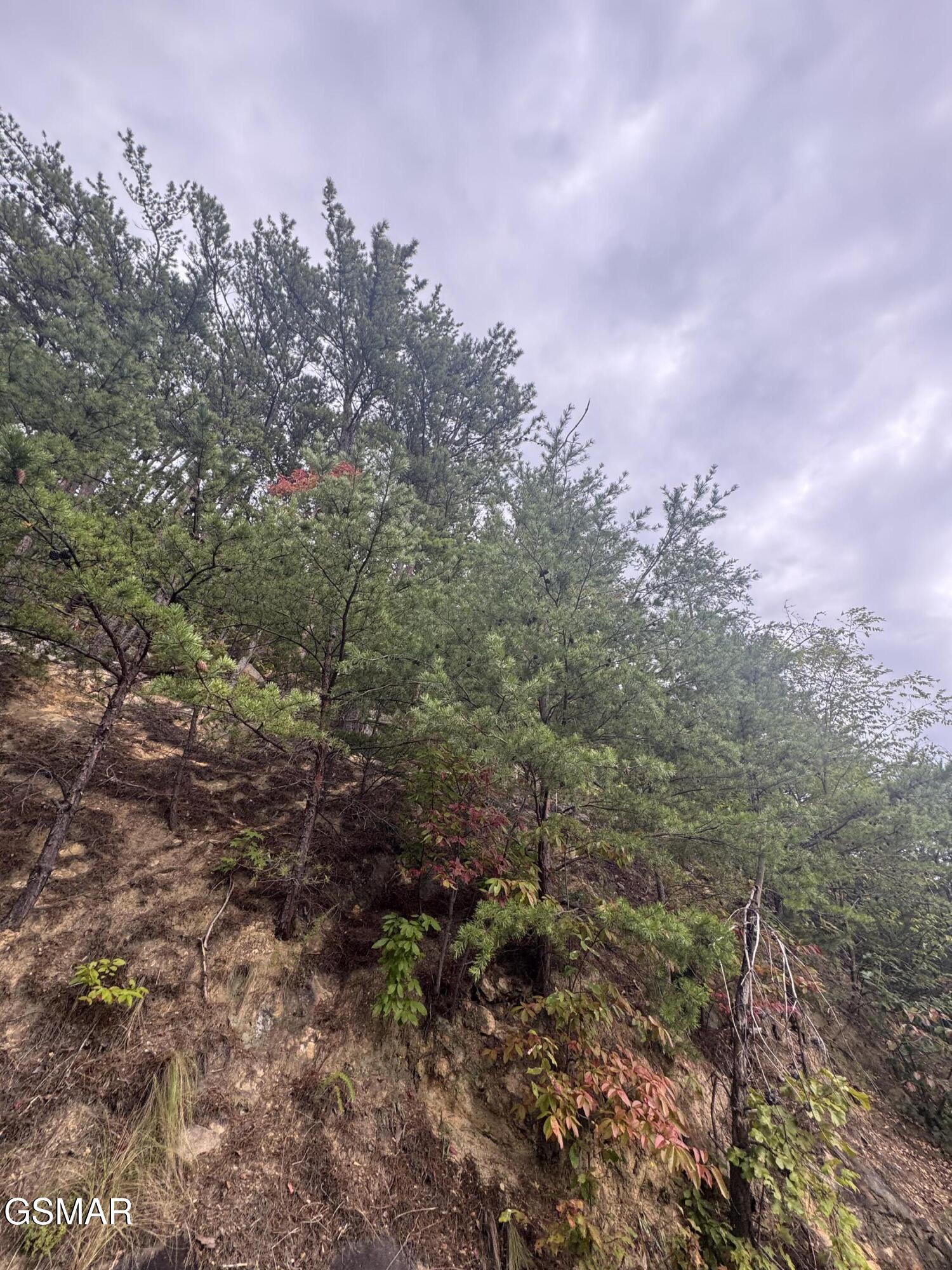 Lot 49 Enclave Park Way Sevierville TN 37862
