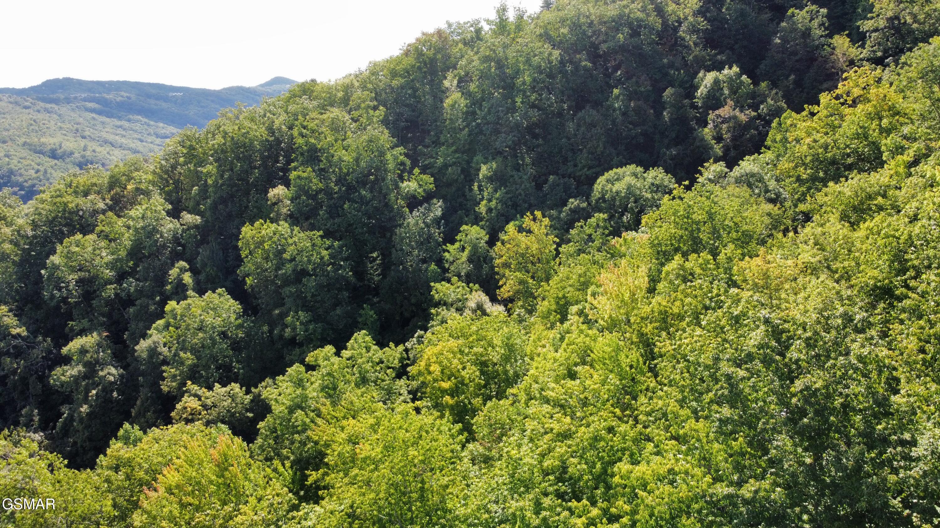 Lot 49 Enclave Park Way Sevierville TN 37862