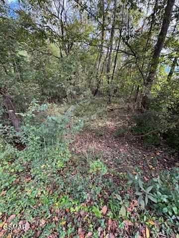 Lot 2 Roberts Road Kodak TN 37764