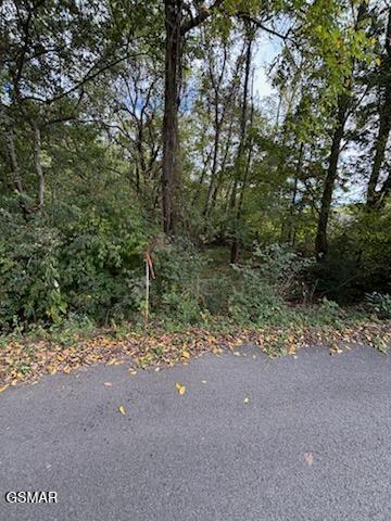 Lot 2 Roberts Road Kodak TN 37764