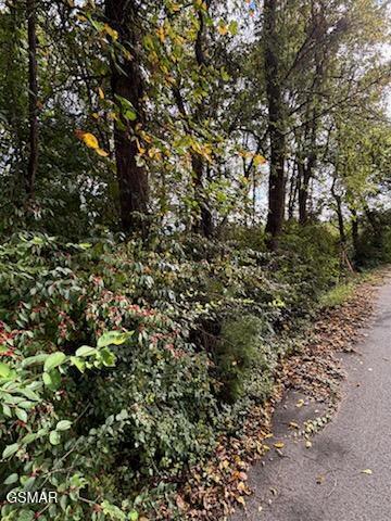 Lot 2 Roberts Road Kodak TN 37764