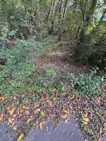 Lot 2 Roberts Road Kodak TN 37764