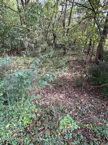 Lot 2 Roberts Road Kodak TN 37764