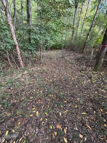 Lot 2 Roberts Road Kodak TN 37764