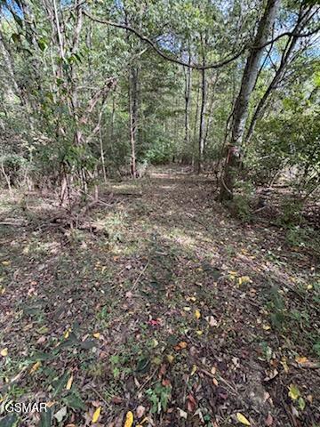 Lot 2 Roberts Road Kodak TN 37764