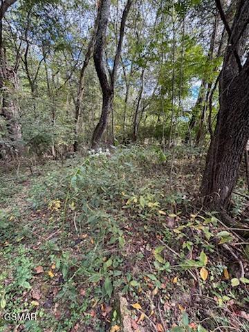 Lot 2 Roberts Road Kodak TN 37764
