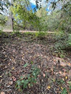 Lot 2 Roberts Road Kodak TN 37764
