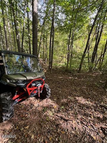 Lot 2 Roberts Road Kodak TN 37764