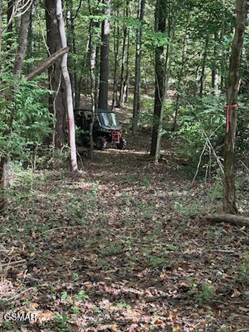 Lot 2 Roberts Road Kodak TN 37764
