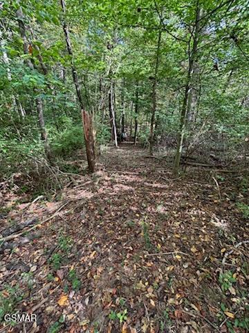 Lot 2 Roberts Road Kodak TN 37764