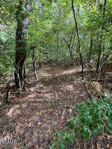 Lot 2 Roberts Road Kodak TN 37764