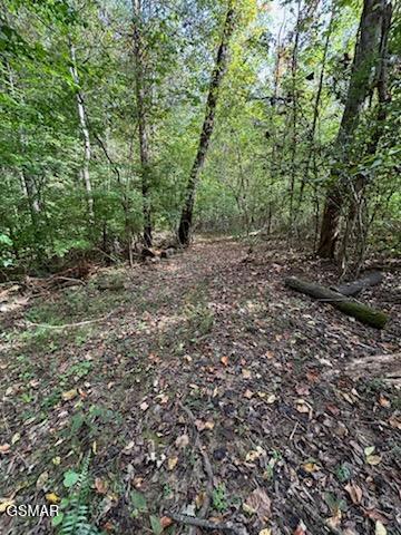 Lot 2 Roberts Road Kodak TN 37764