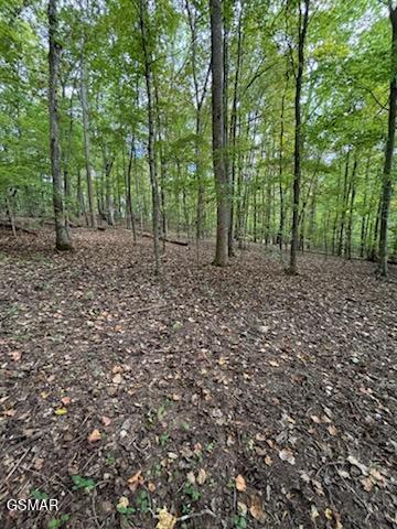 Lot 2 Roberts Road Kodak TN 37764