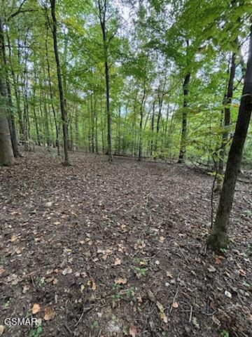 Lot 2 Roberts Road Kodak TN 37764