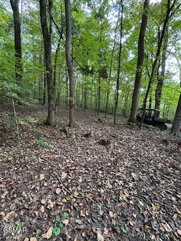 Lot 2 Roberts Road Kodak TN 37764