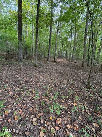 Lot 2 Roberts Road Kodak TN 37764