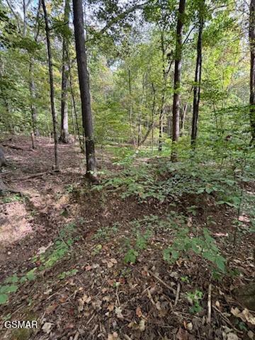 Lot 2 Roberts Road Kodak TN 37764