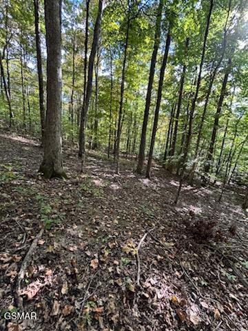 Lot 2 Roberts Road Kodak TN 37764