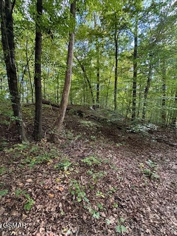 Lot 2 Roberts Road Kodak TN 37764